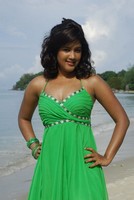 Soumya Gallery